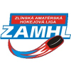 Zlínská amatérská hokejová liga